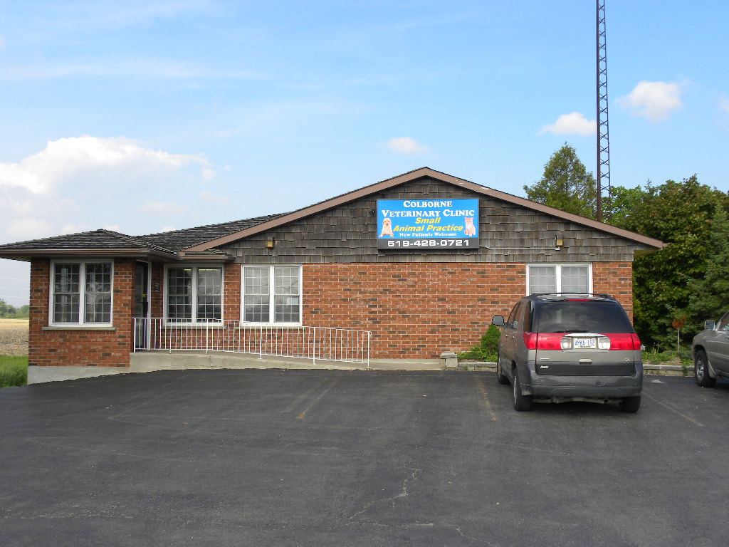 Colborne Veterinary Clinic | 2512 Hwy 24 N, Simcoe, ON N3Y 4K3, Canada | Phone: (519) 428-0721