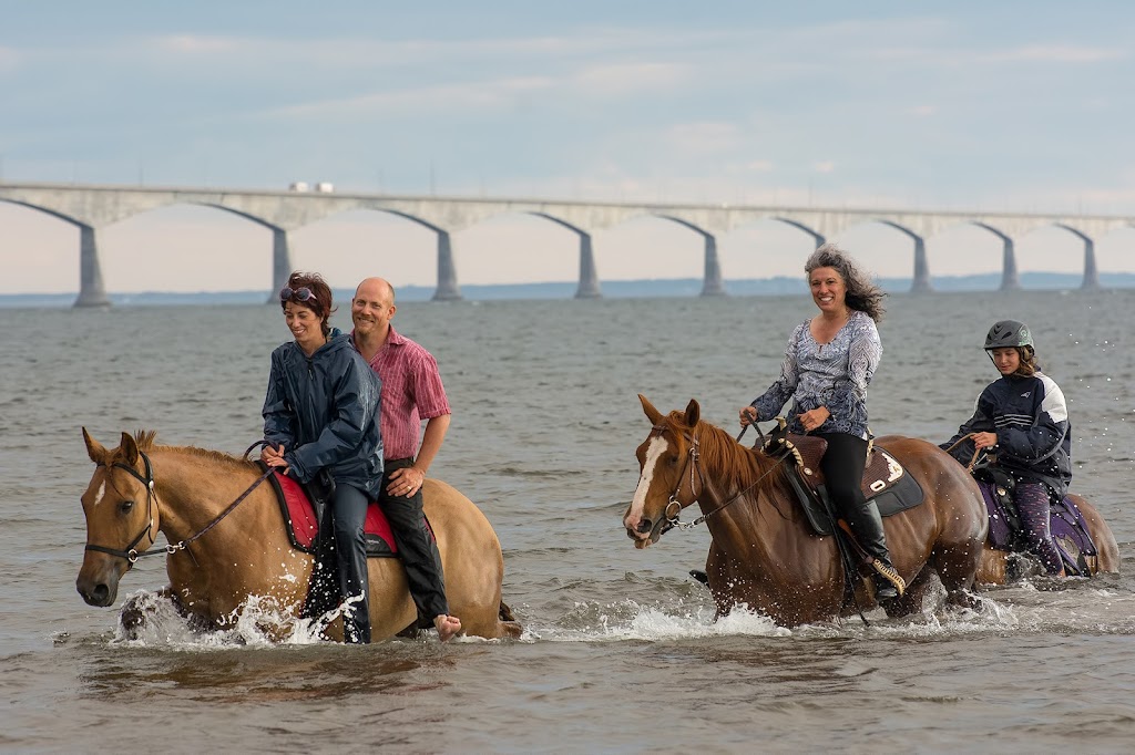 Venture Stables Equine Assisted Learning Center | 124 Campbell Rd, Freetown, PE C0B 1L0, Canada | Phone: (902) 247-0195