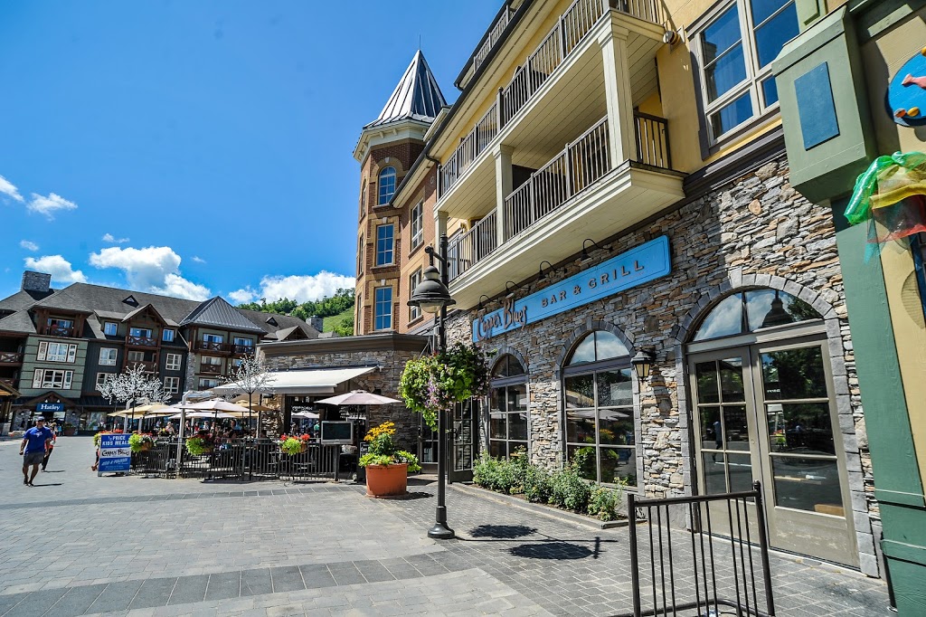 Blue Mountain Village | 156 Jozo Weider Blvd, The Blue Mountains, ON L9Y 3Z2, Canada | Phone: (705) 444-7398