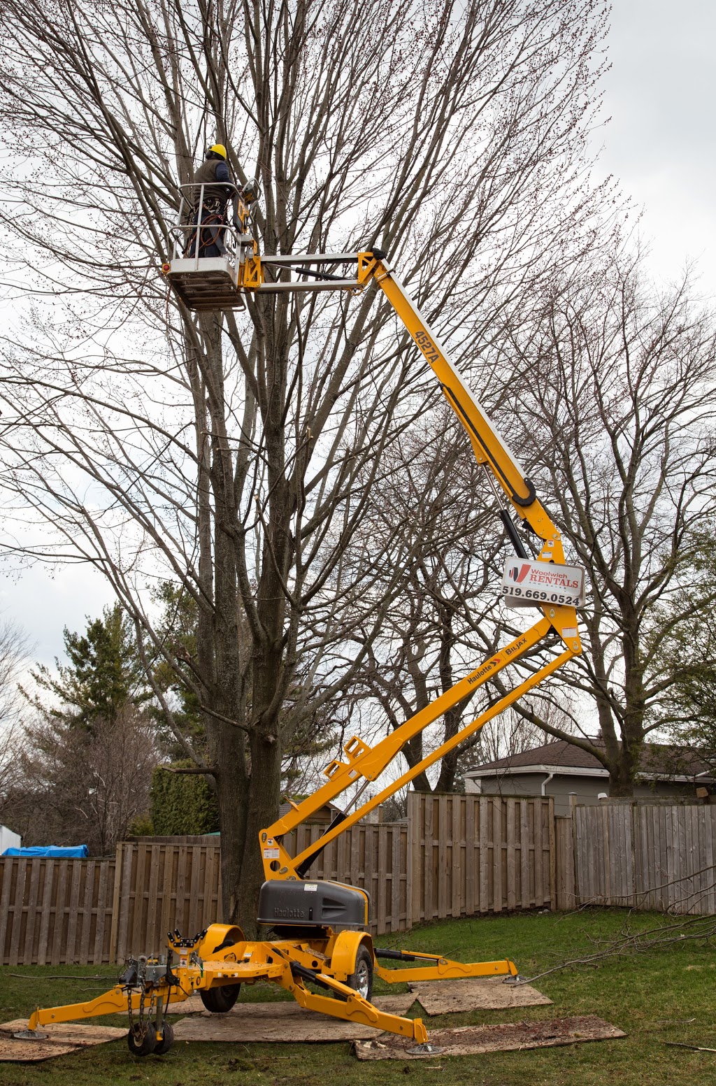 Metzger Tree Service | 196 McIntyre Dr unit 7, Kitchener, ON N2R 1H4, Canada | Phone: (519) 954-5649