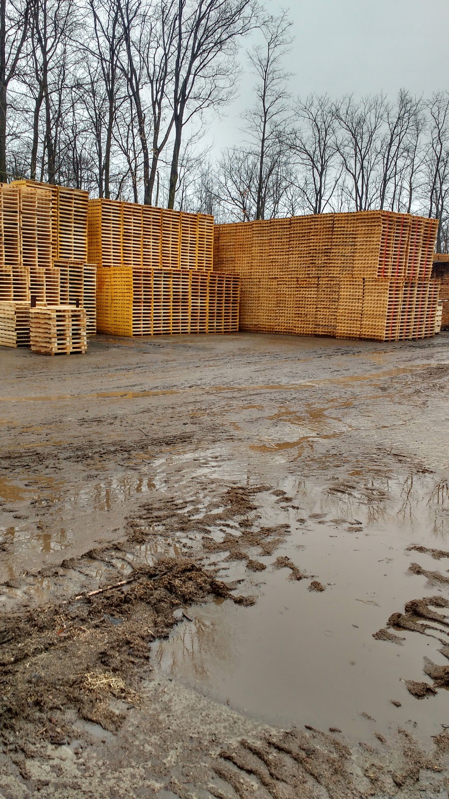 Moses Burkhart Sawmill | 2896 Hackbart Rd, St. Clements, ON N0B 2M0, Canada | Phone: (519) 699-5751