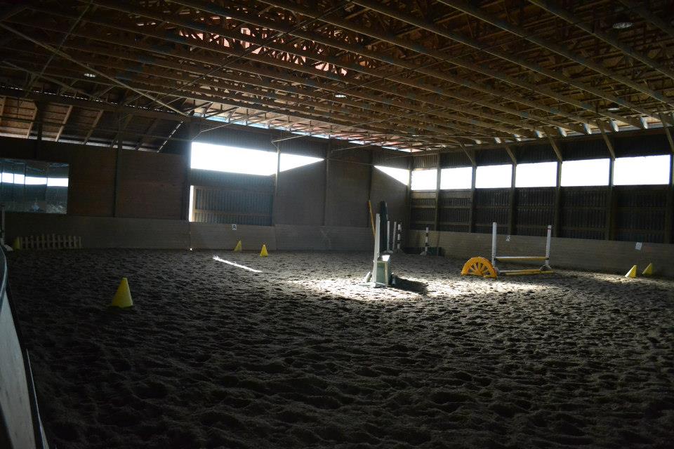 M & M Connemaras Horse Farm | 24680 80 Ave, Langley City, BC V1M 3P3, Canada | Phone: (604) 220-0908