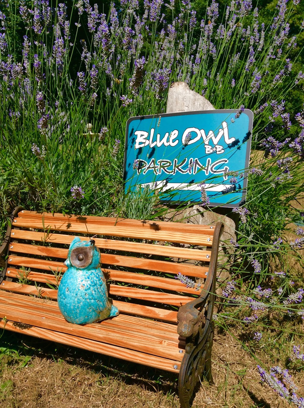 Blue Owl B&B / / Retreat | 8850 Owl Crescent, Denman Island, BC V0R 1T0, Canada | Phone: (250) 335-3440