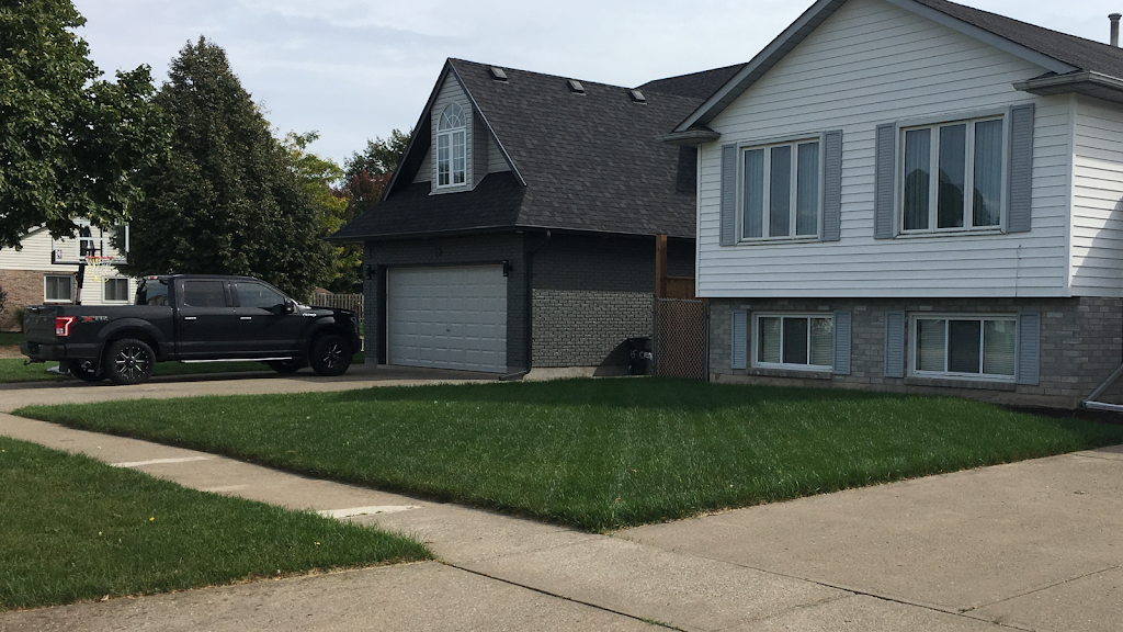 Team Green Lawn Care | 1403 Kottmeier Rd, Welland, ON L3B 5N5, Canada | Phone: (905) 321-4648