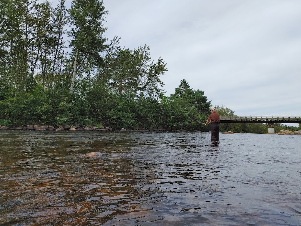 Passe migratoire à saumon de la Rivière-à-Mars | 3232 Chemin St Louis, La Baie, QC G7B 4M8, Canada | Phone: (418) 697-5093