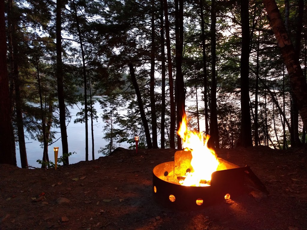 Sharbot Lake Provincial Park | 25467 ON-7, Sharbot Lake, ON K0H 2P0, Canada | Phone: (613) 335-2814