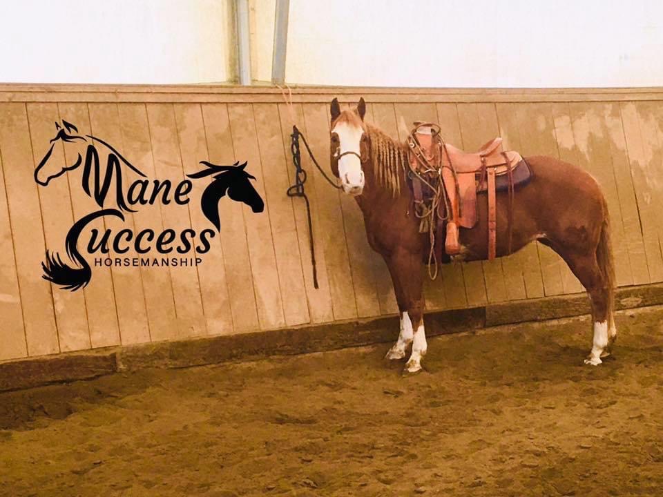 Mane Success Horsemanship | 4581 Bradner Rd, Abbotsford, BC V4X 1S9, Canada | Phone: (604) 226-6263