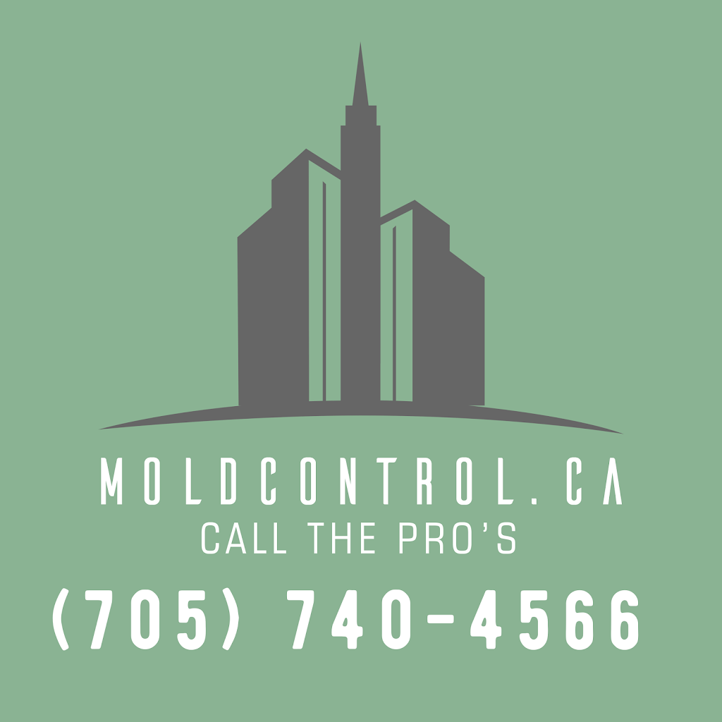 MoldControl Mold Removal Peterborough | 1708 Woodgrove Crescent, Peterborough, ON K9K 1N2, Canada | Phone: (705) 740-4566