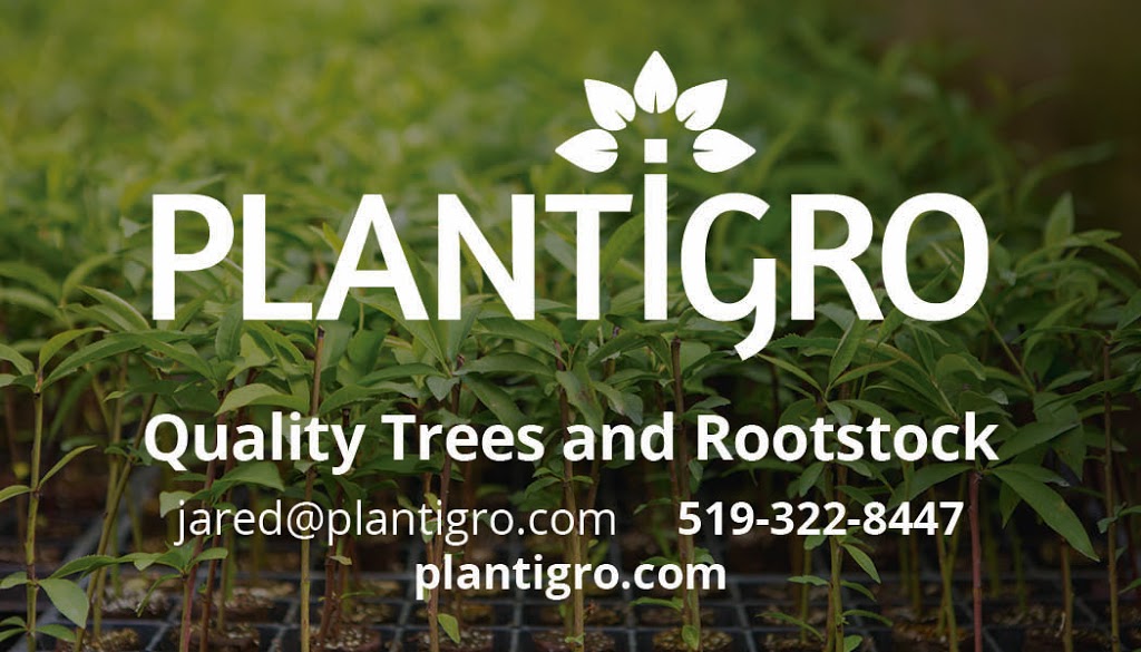 Plantigro Nursery LTD | 1706 Rd 5 E, Ruthven, ON N0P 2G0, Canada | Phone: (519) 322-8447