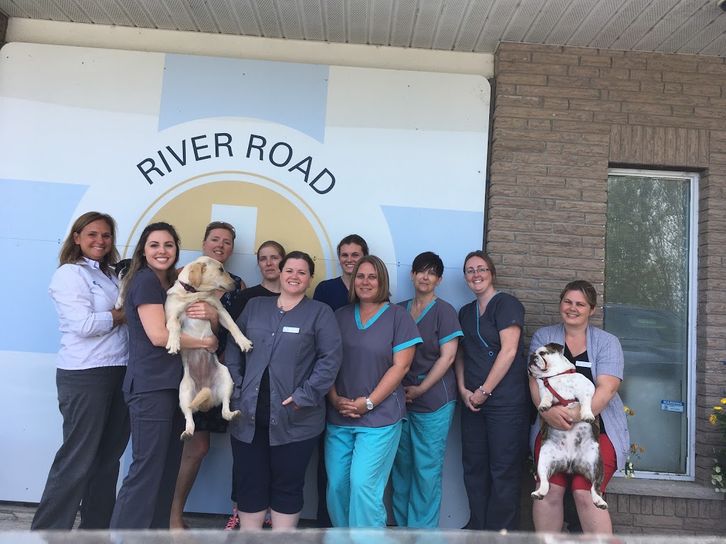 River Road Animal Hospital | 91 River Rd W, Wasaga Beach, ON L9Z 2X2, Canada | Phone: (705) 322-3459