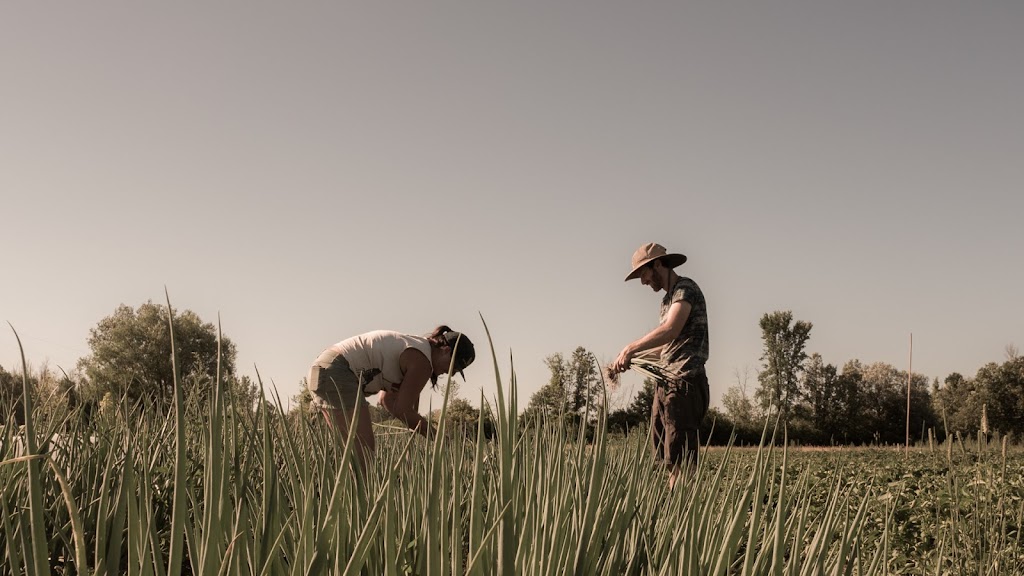 Ferme BeetBox Farm | 230 Davidsons Side Road, Nepean, ON K2K 2Z4, Canada | Phone: (613) 416-9171