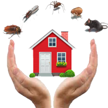 Ensure Pest Control Inc. | 2247 Hurontario St, Mississauga, ON L5A 2G2, Canada | Phone: (647) 961-7426