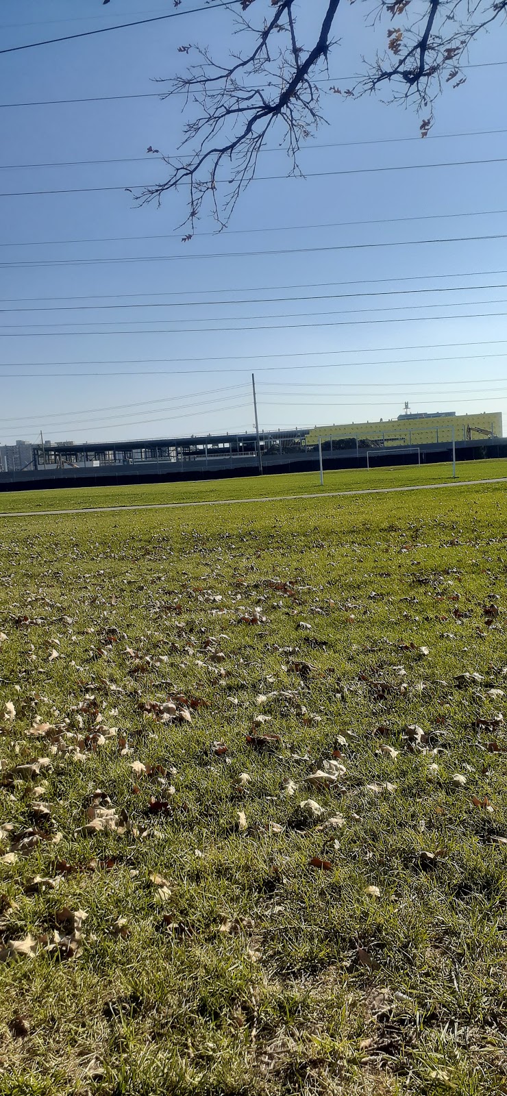 Remberto Navia Sport Fields | 65 Norfinch Dr, North York, ON M3N 1W8, Canada | Phone: (416) 338-4386