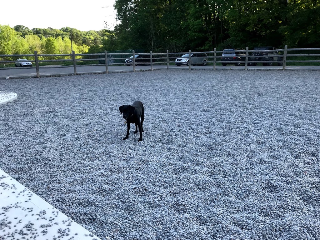 Taylor Creek Dog Park | Unnamed Road, Toronto, ON M4C, Canada