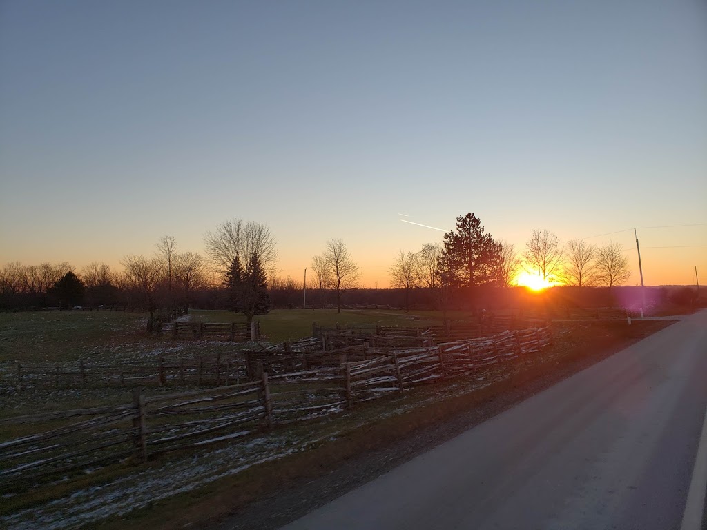 Nashville Conservation Reserve | Ontario, Canada