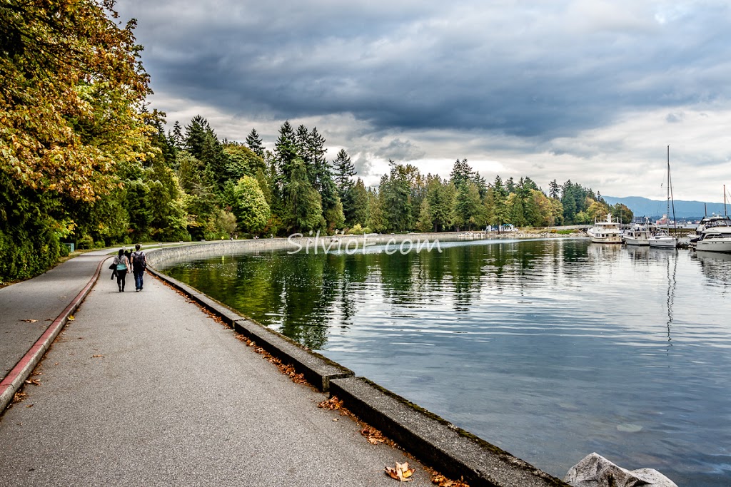 Vancouver Rowing Club | 450 Stanley Park Dr, Vancouver, BC V6G 3E2, Canada | Phone: (604) 687-3400