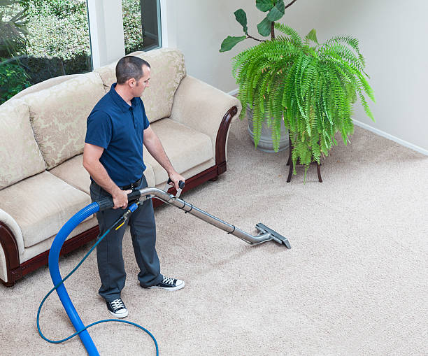 Kipling Carpet Cleaner Etobicoke | 2141 Kipling Ave, Etobicoke, ON M9W 4K8, Canada | Phone: (647) 697-9721