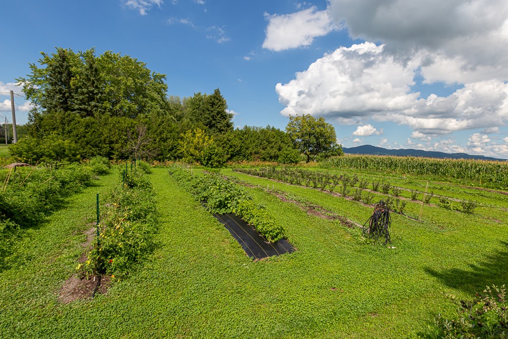 Jardin Émergent | 1001 Rang de lÉglise, Marieville, QC J3M 1N9, Canada | Phone: (438) 378-3040