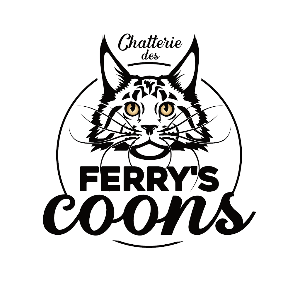 Chatterie Des Ferrys Coons | 3861 Rue Albert, Rawdon, QC J0K 1S0, Canada | Phone: (514) 817-7053