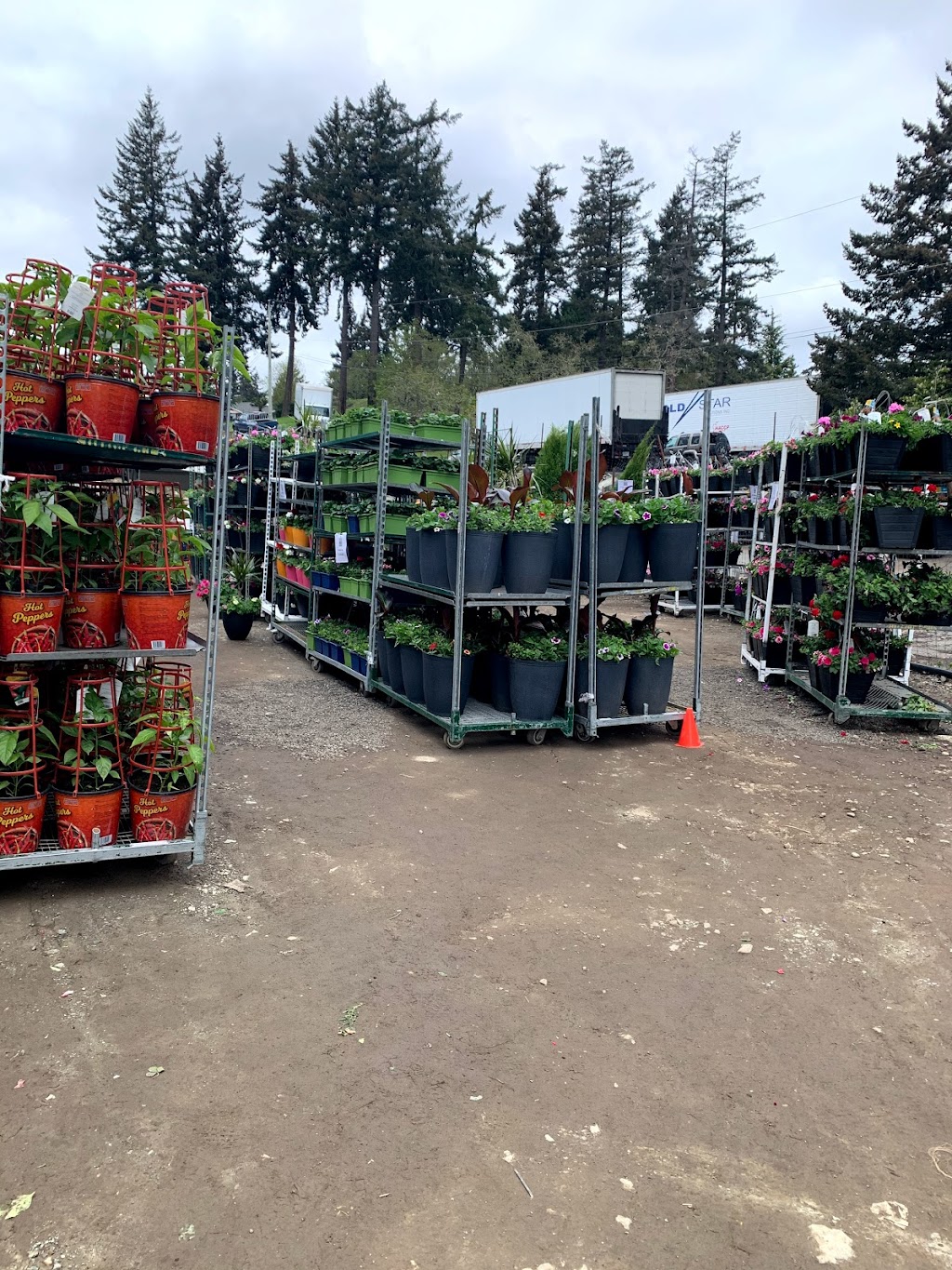 Hilltop Greenhouses Wholesale | 1840 Burnside Rd W, Victoria, BC V9E 1H6, Canada | Phone: (250) 479-3695