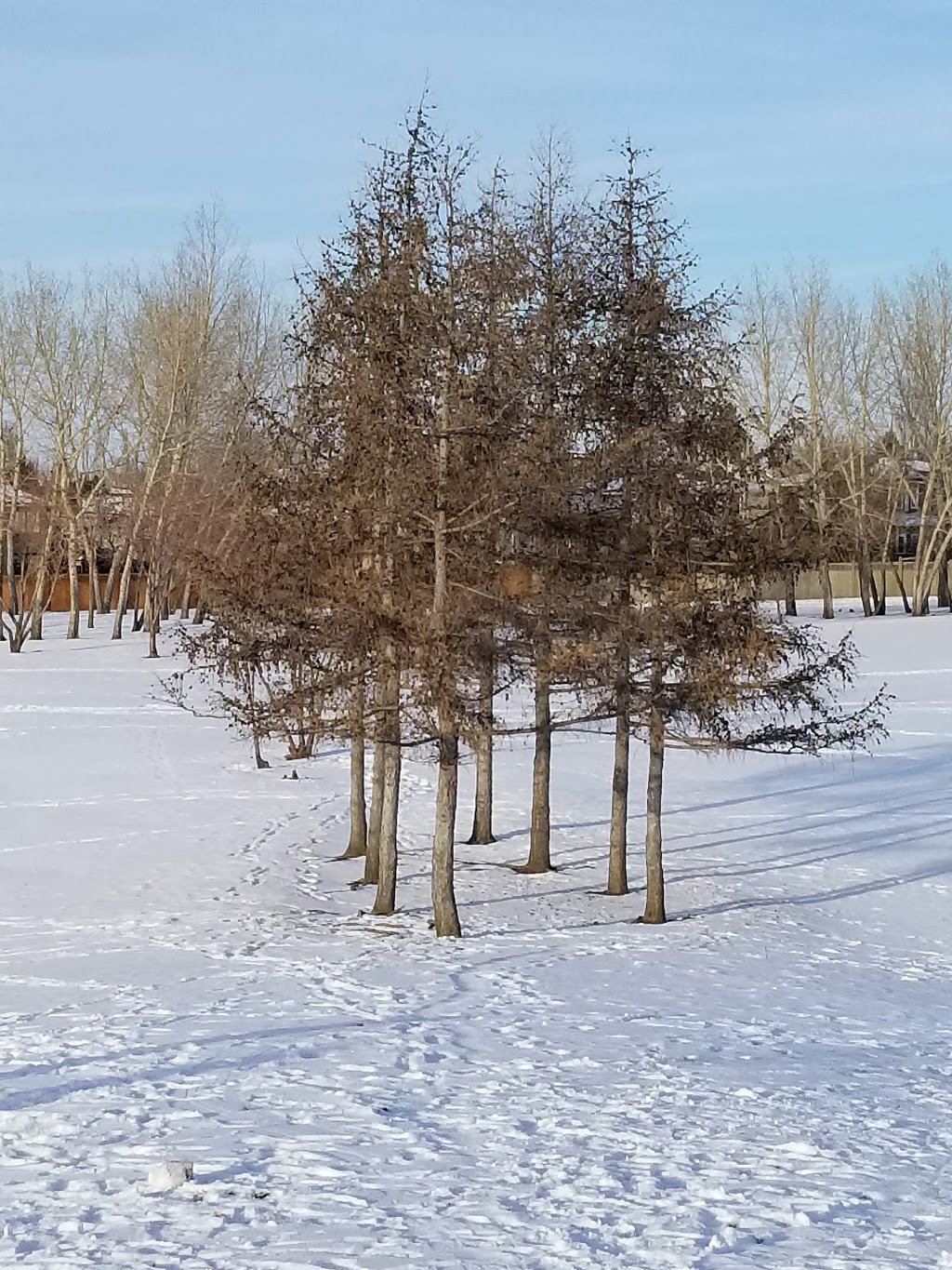 Ernest Lindner Park | Rogers Rd, Saskatoon, SK S7N 4A3, Canada