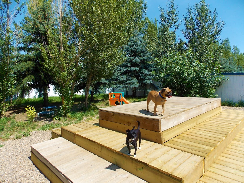 Paradise Kennels | 232004, AB T0J 0S0, Canada | Phone: (587) 832-3216