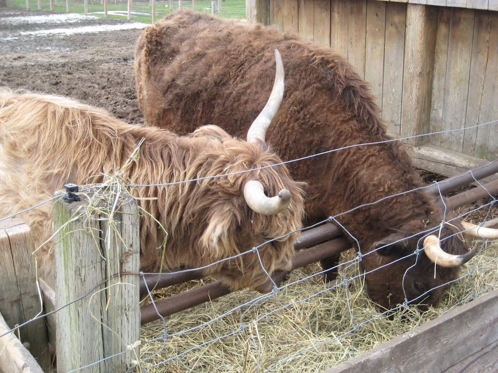 Ferme écologique du parc-nature Cap-Saint-Jacques | 183 Chem. du Cap-Saint-Jacques, Pierrefonds-Roxboro, QC H9K 1C8, Canada | Phone: (514) 648-8805