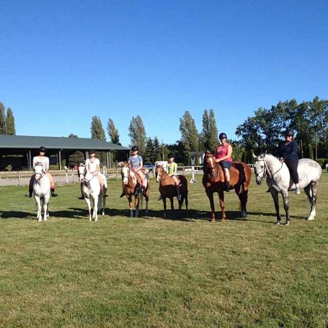 ABEquestrian | 3950 88 St, Delta, BC V4K 3N3, Canada | Phone: (778) 892-0616