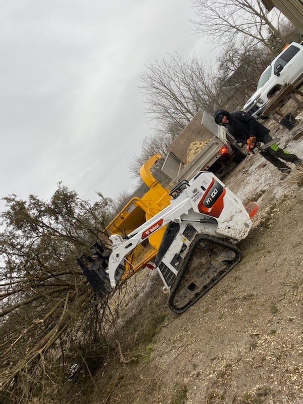 Stump Up Tree Service | 81 Hopkins Ct, Hamilton, ON L9H 5M7, Canada | Phone: (905) 379-7245