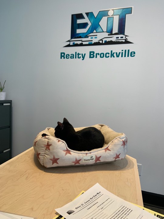 EXIT Realty Brockville | 1275 Kensington Pkwy Unit 16, Brockville, ON K6V 6C3, Canada | Phone: (613) 499-1565