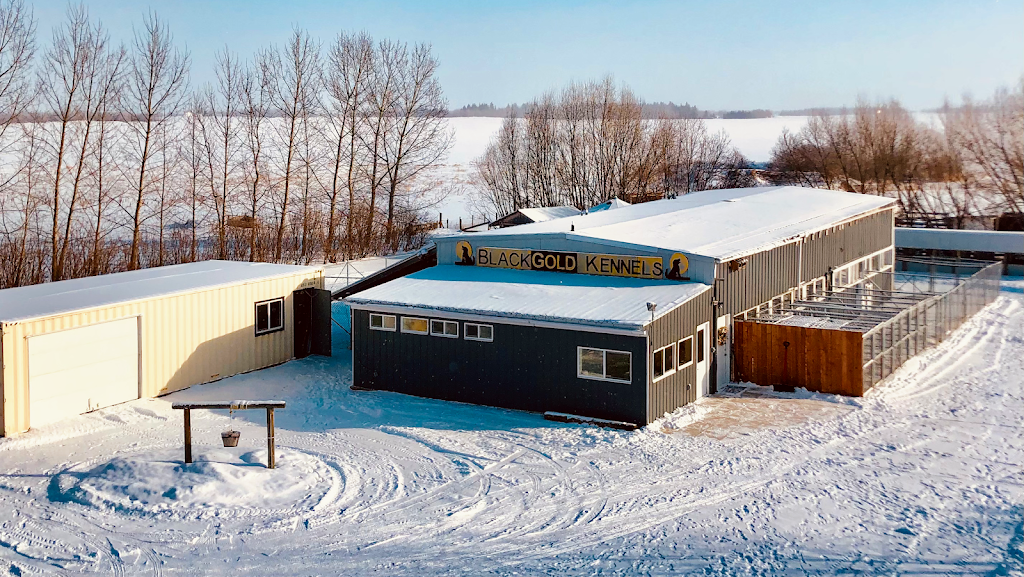 Black Gold Kennels | 50041 AB-814, Alberta T4X 0K2, Canada | Phone: (780) 980-2897