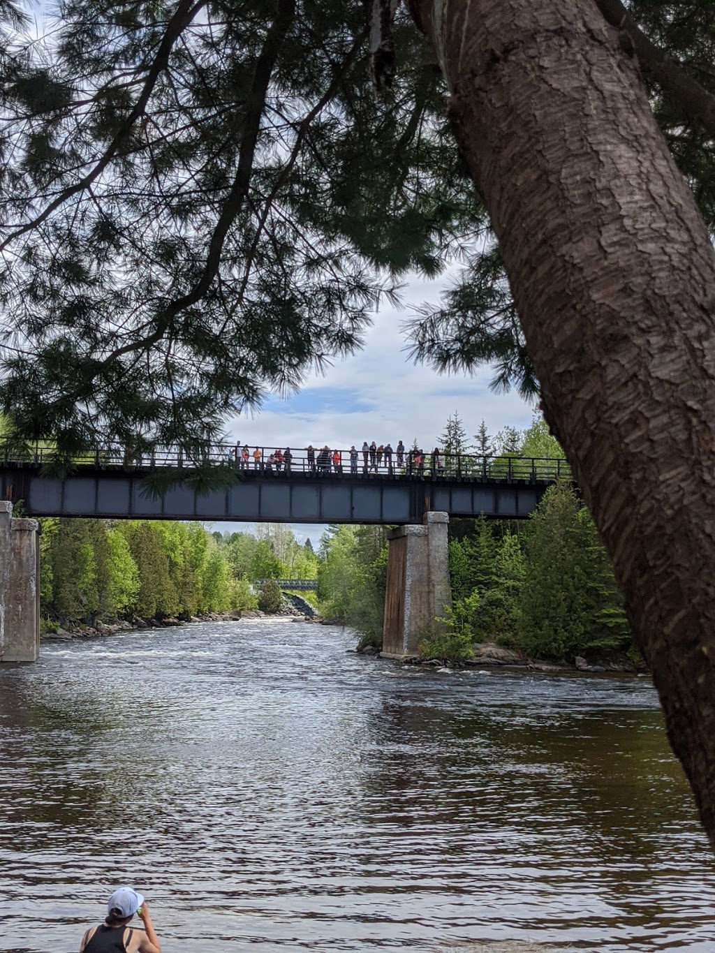 River Valley Bluegrass Festival | 24, Alphonse Rd, West Nipissing, ON P0H, Canada | Phone: (705) 758-9659