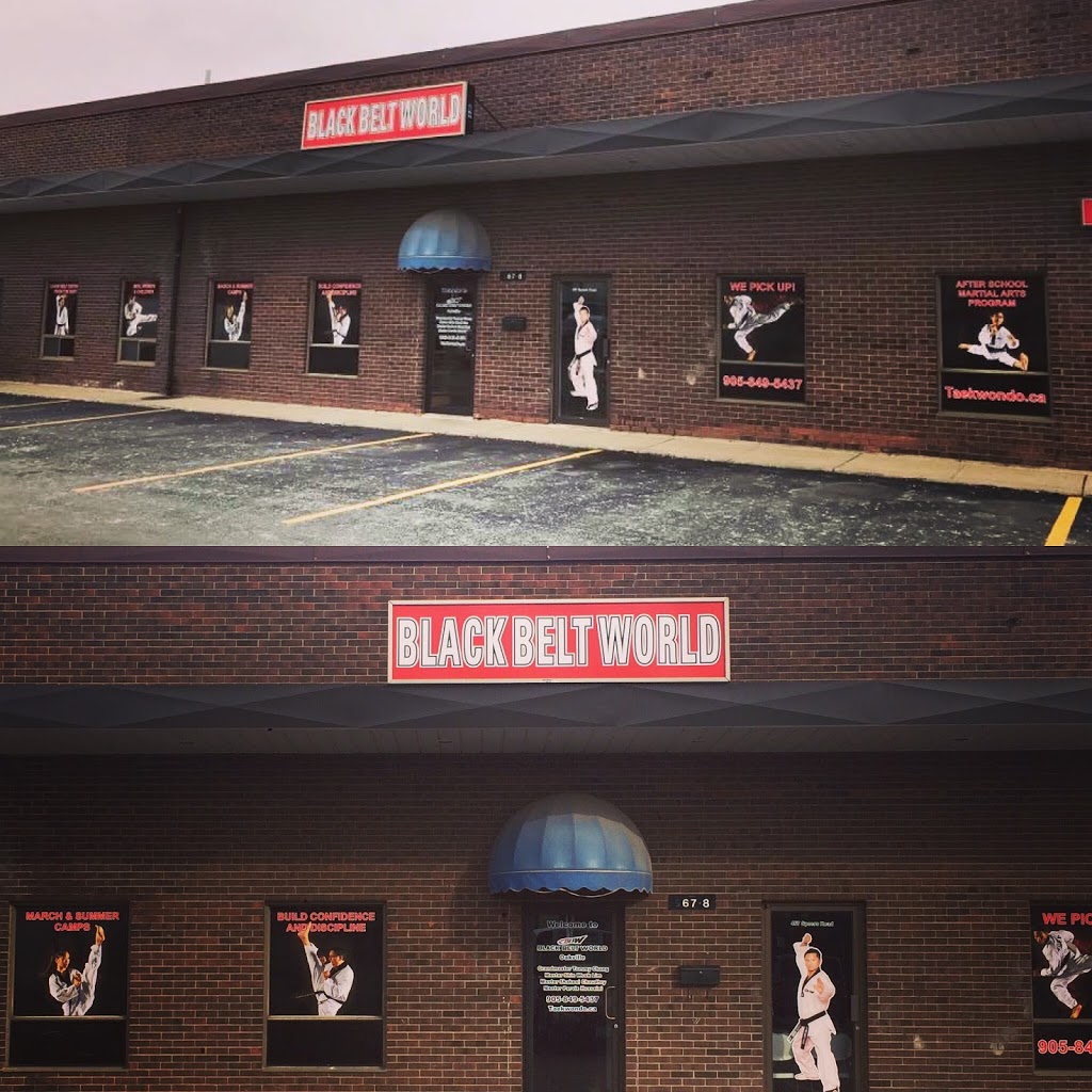 Black Belt World Oakville | 467 Speers Road, Units 5-8, Oakville, ON L6K 3S4, Canada | Phone: (905) 849-5437