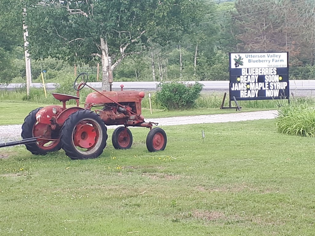 Utterson Valley Blueberry Farm | 1318 ON-141, Utterson, ON P0B 1M0, Canada | Phone: (705) 644-0301