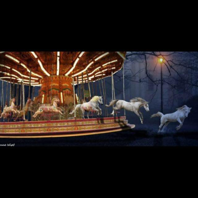 Sellerie Crazy Carousel | 3211 Montée dAlstonvale, Vaudreuil-Dorion, QC J7V 0G4, Canada | Phone: (450) 458-2430