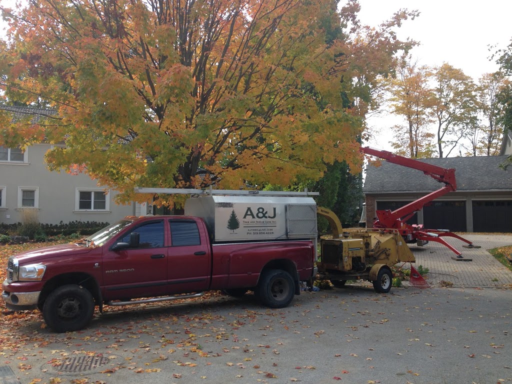 A&J Tree and Shrub Care Inc. | 451 Wilson St, Eden Mills, ON N0B 1P0, Canada | Phone: (519) 856-4226