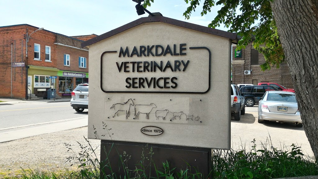 Markdale Veterinary Services | 26 Main St E, Markdale, ON N0C 1H0, Canada | Phone: (519) 986-2800