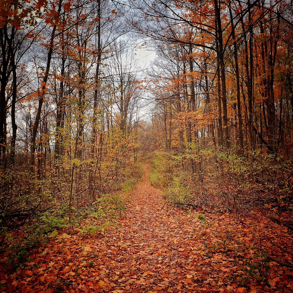 Wildfrid G Crozier Nature Reserve | Regional Rd 25, Halton Hills, ON L9T 2X7, Canada | Phone: (800) 440-2366