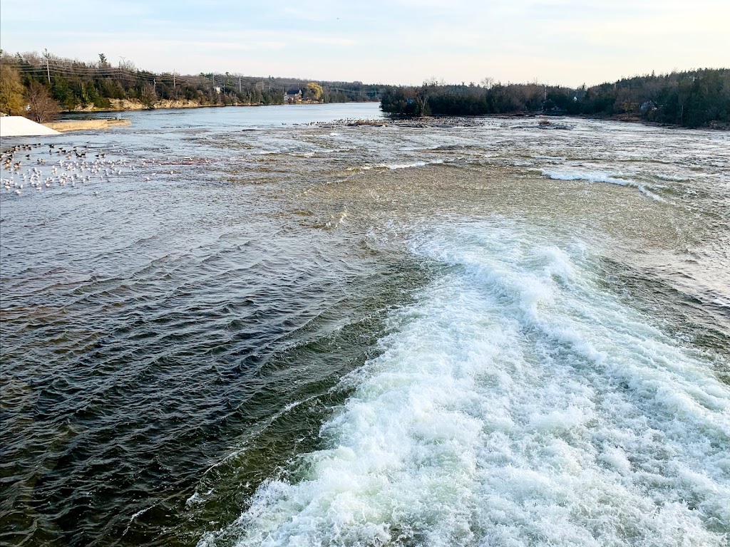 Trent-Severn Waterway, Lock 14 - Crowe Bay | North Umberland 38, Trent Hills, ON K0L 1L0, Canada | Phone: (705) 653-2040