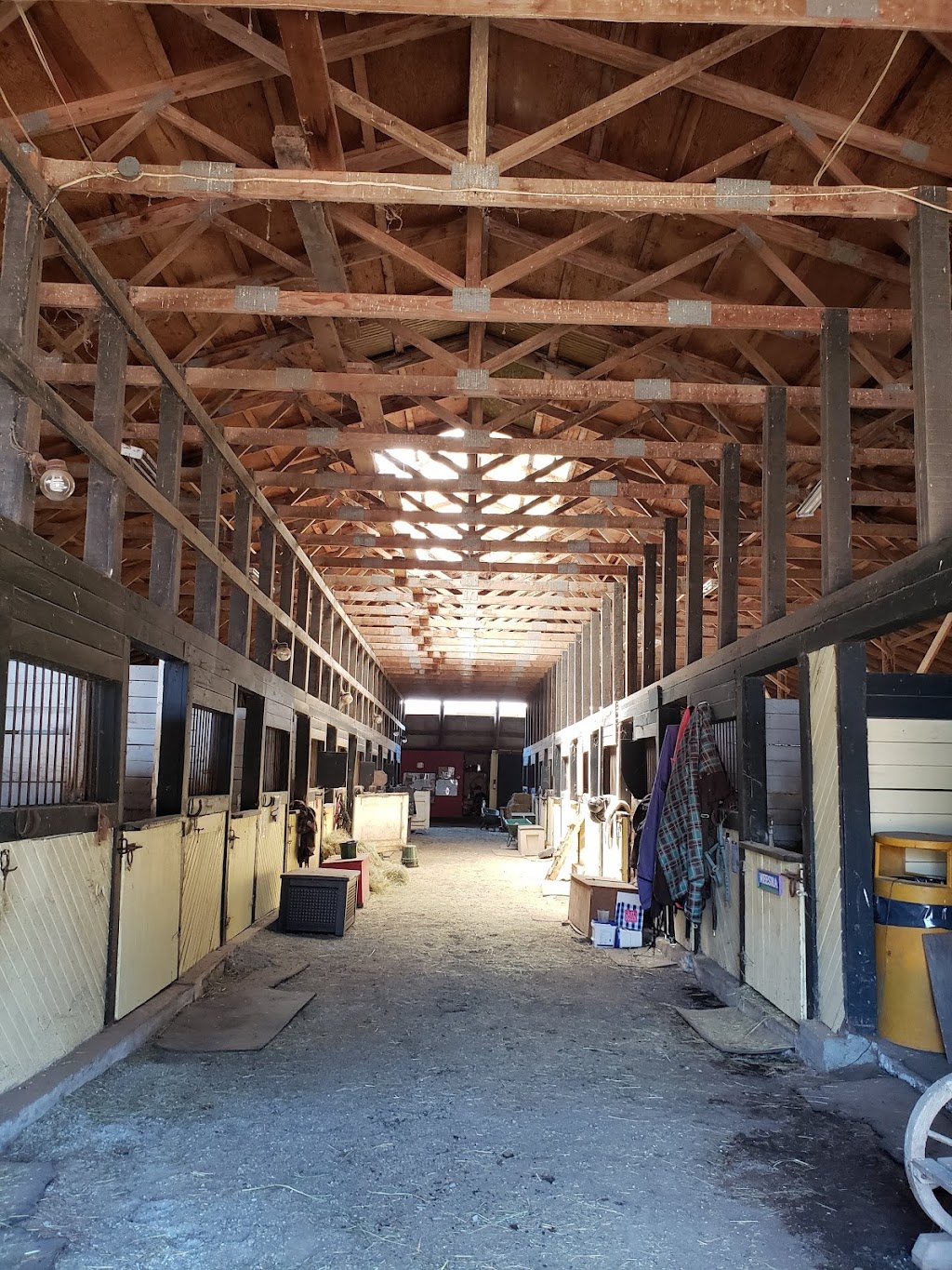 Four Seasons Equesterian Facility | 4409 66 St, Delta, BC V4K 4Y8, Canada | Phone: (604) 328-9360