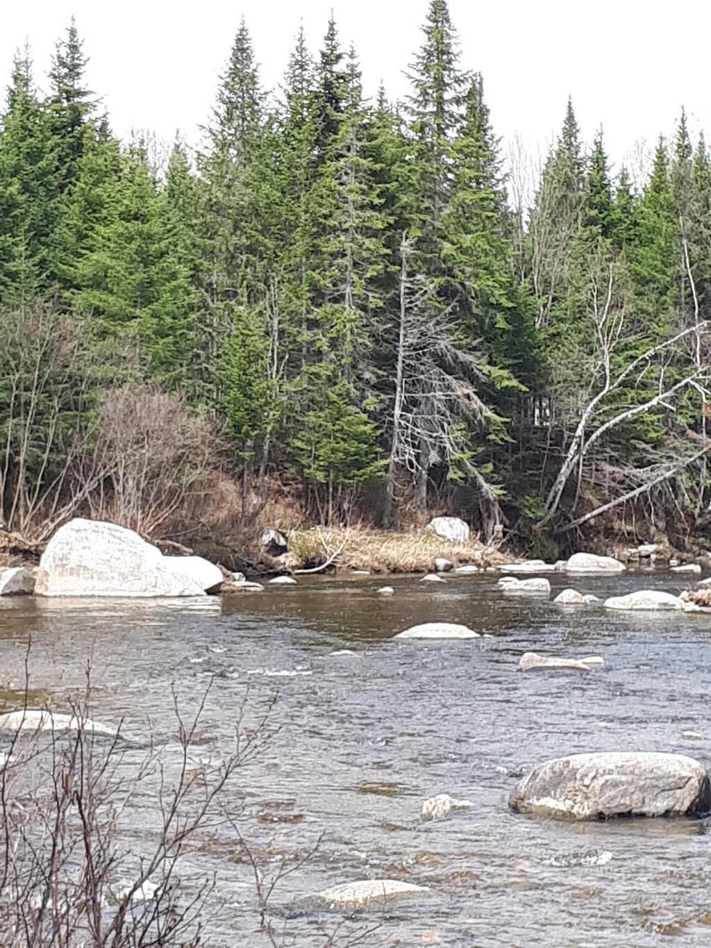 Les kayaks de La Rivière Sauvage | 345 Route Dostie, Saint-Romain, QC G0Y 1L0, Canada | Phone: (418) 486-2100