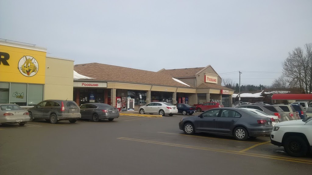 Foodland - Shelburne | 1-226 First Ave E, Shelburne, ON L9V 2X4, Canada | Phone: (519) 925-6032