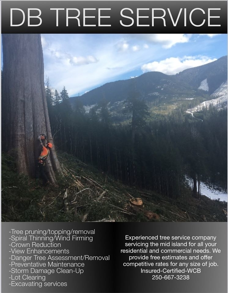 DB Tree Service | 2179 14th Ave, Port Alberni, BC V9Y 2Y7, Canada | Phone: (250) 667-3283