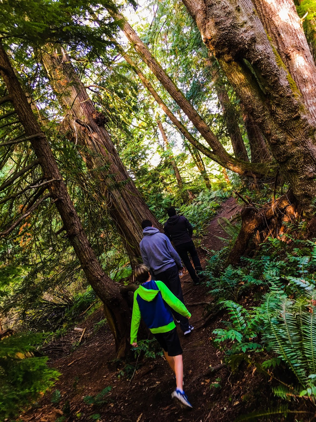 Nanaimo River Salmonid Enhancement Project | 2775 Rugby Rd, Nanaimo, BC V9X 1T2, Canada | Phone: (250) 245-7780