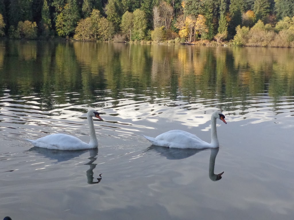 Stanley Park Tennis Courts | 8901 Stanley Park Dr, Vancouver, BC V6G 3E2, Canada | Phone: (604) 605-8224