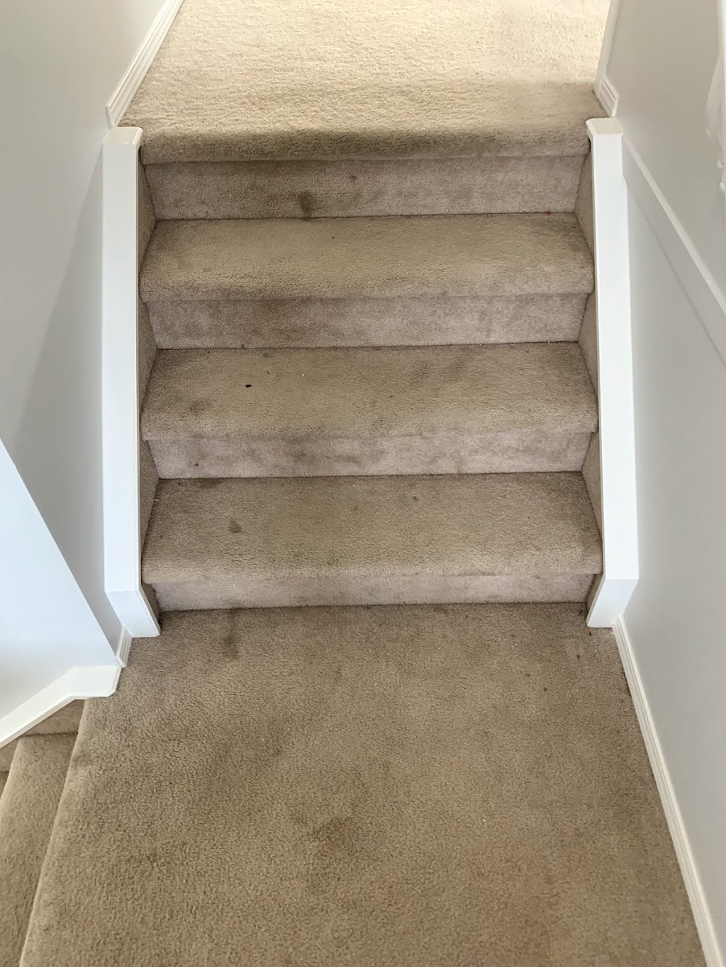 4CJ Carpet Cleaning Ltd | 6 Baywater Cape SW, Airdrie, AB T4B 0B3, Canada | Phone: (403) 397-4776