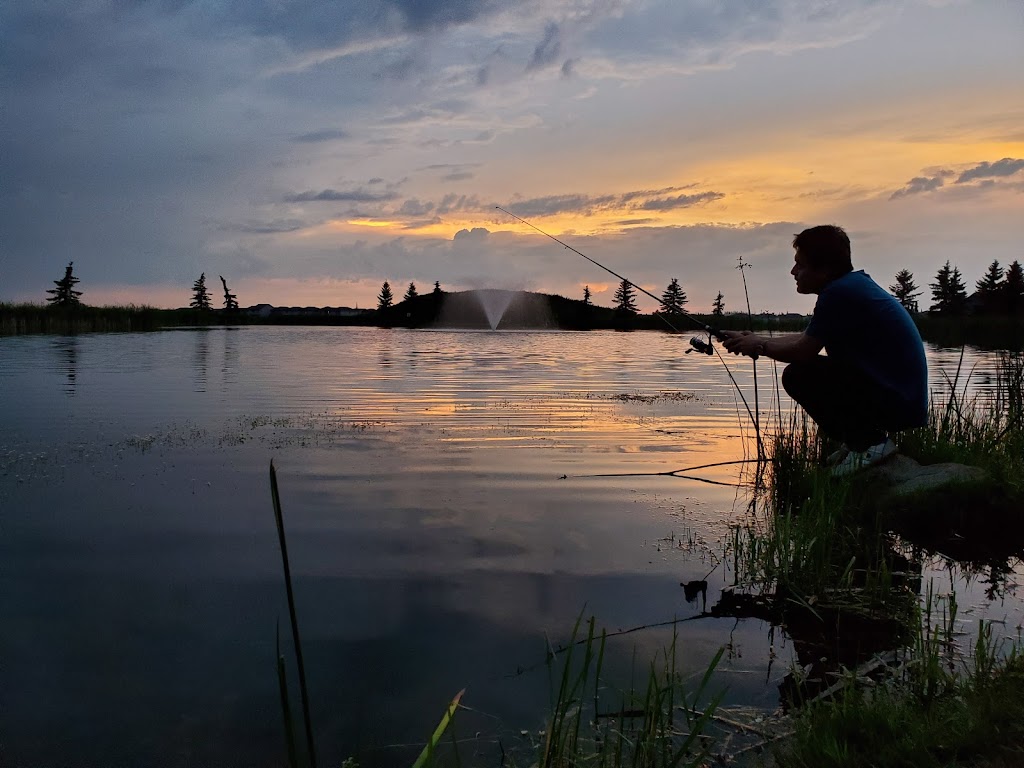 Beaumont fish pond | Fish pond, Beaumont, AB T4X 1P7, Canada | Phone: (403) 392-1185