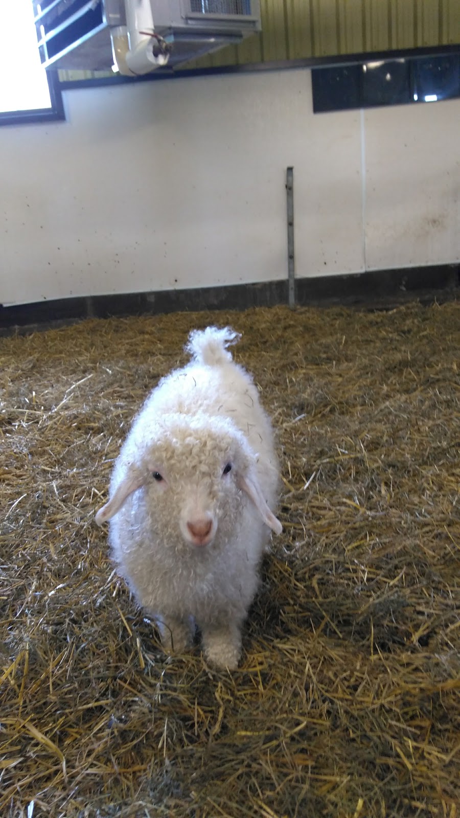 Small Animal Barn | Ottawa, ON K2C, Canada | Phone: (613) 991-3044