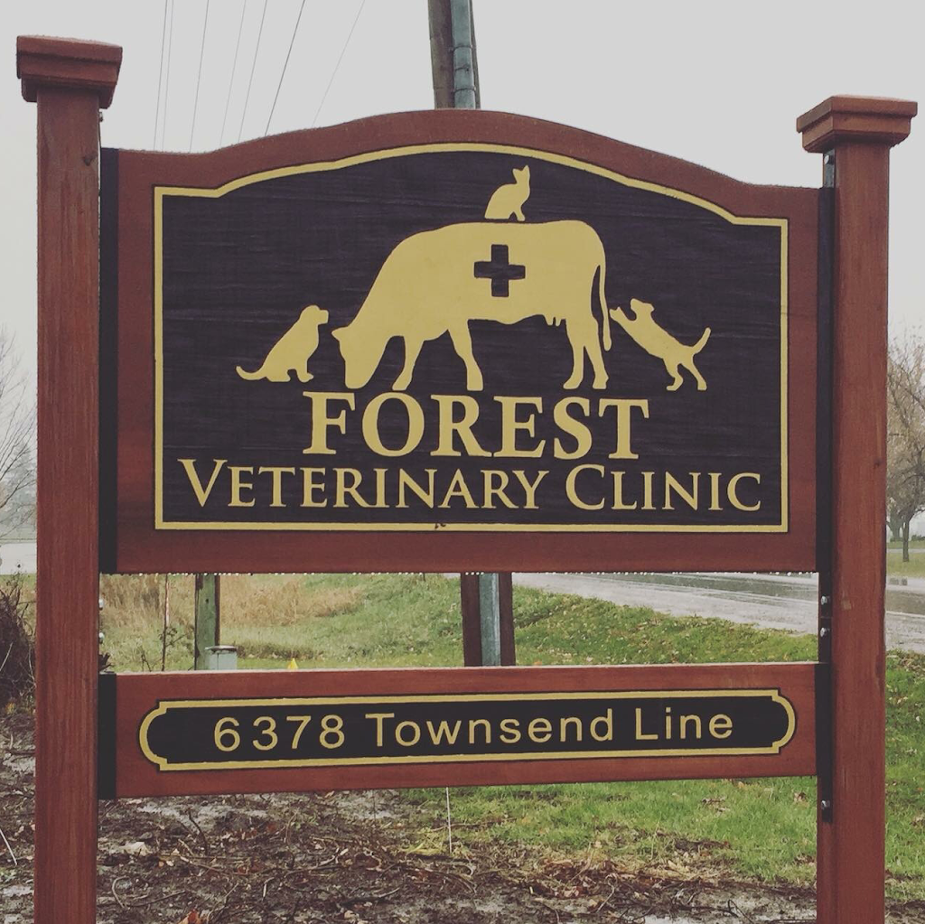 Forest Veterinary Clinic | 6378 Townsend Line, Forest, ON N0N 1J0, Canada | Phone: (519) 786-2306