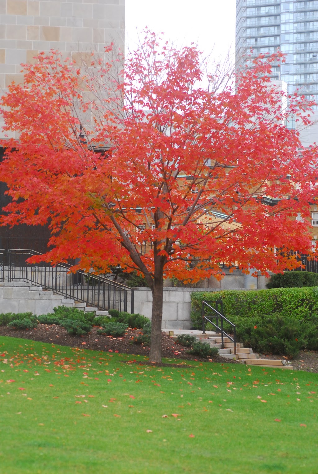 Ontario Fire Fighters Memorial | College St, Toronto, ON M5G 1L6, Canada